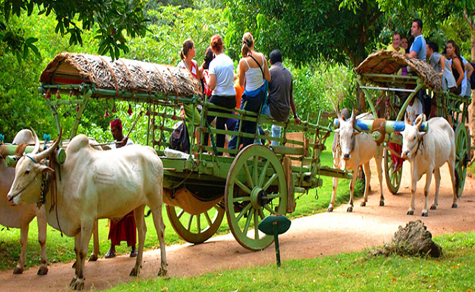 Sri lanka Cultural Tour